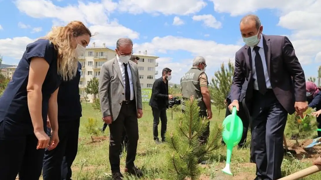 'Covid-19 ´la mücadelenin kahramanlarına hatıra ormanı'