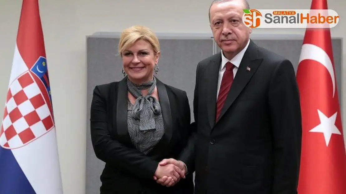 Cumhurbaşkanı Erdoğan, Hırvat mevkidaşı ile görüştü