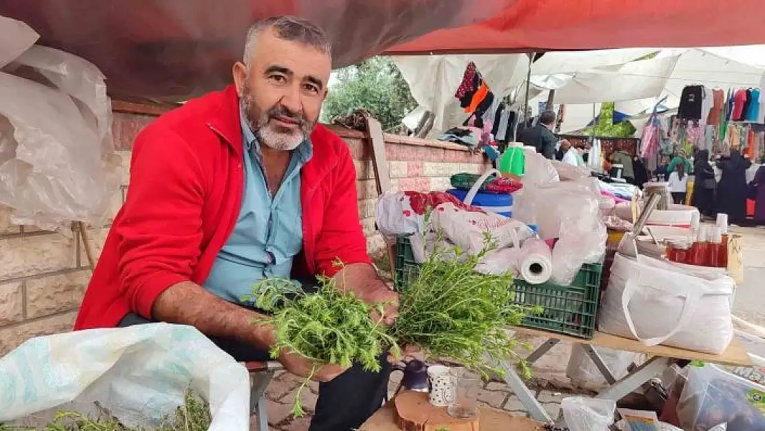 'Dağlardan topladığı kekikler geçim kaynağı oldu'