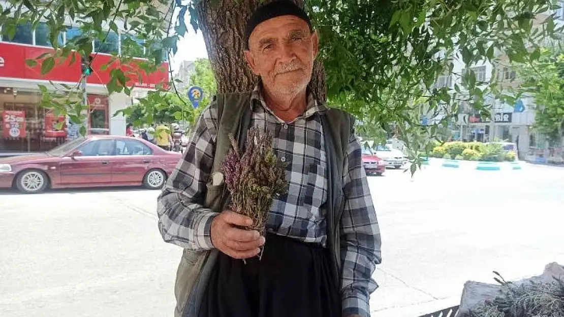 'Dağlardan topladığı şifalı otlar geçim kaynağı oldu'