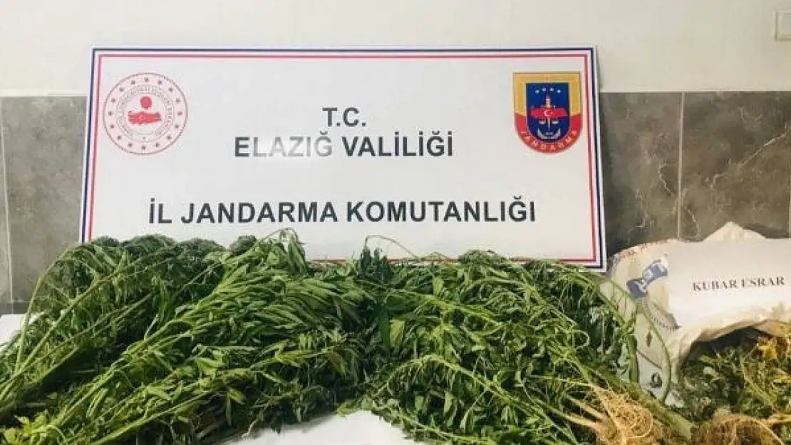 'Damla sulama sistemiyle kenevir yetiştiren şüpheli suçüstü yakalandı'