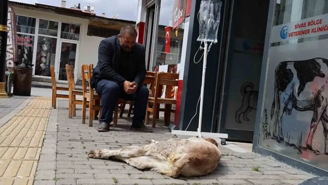 'Dana Umutun sahibinin merhameti görenlerin içini ısıttı'