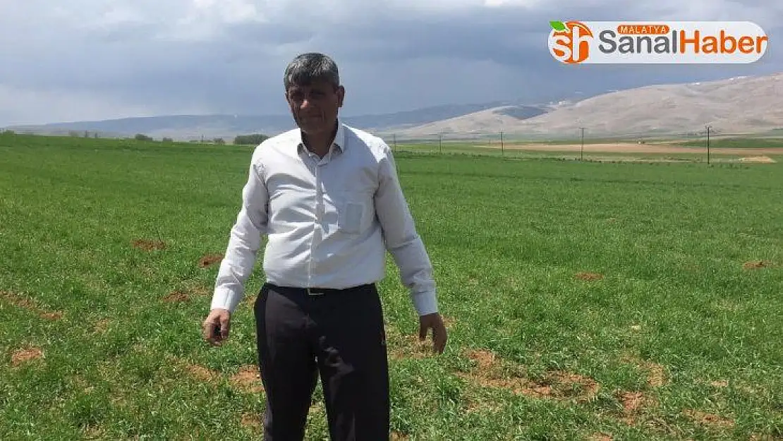 Darende'de kuraklık tehlikesi