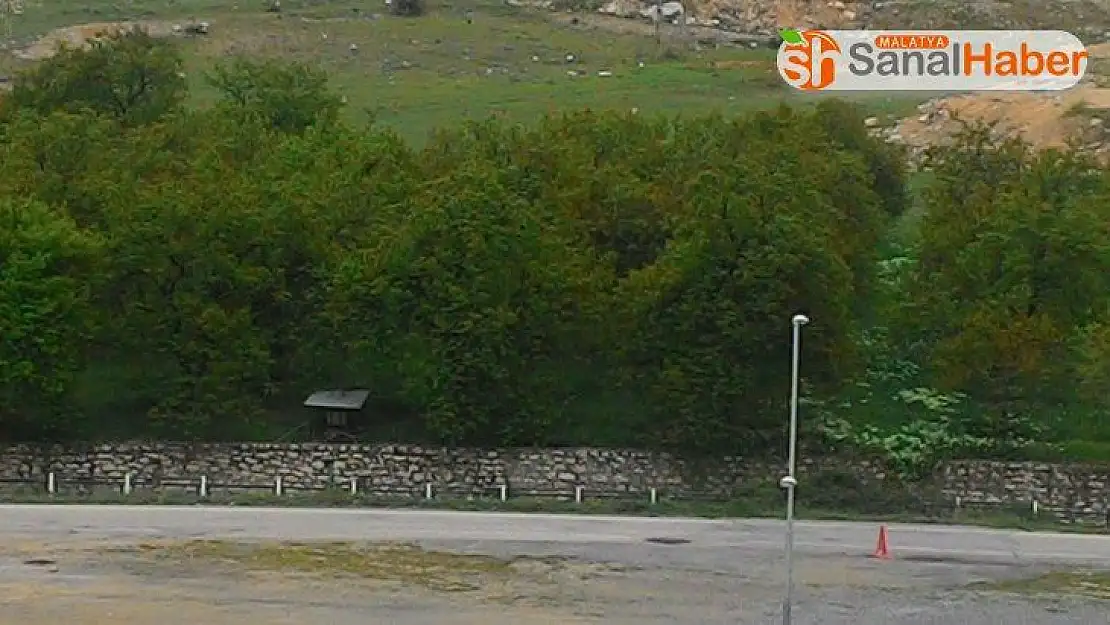 Darende'de zirai don ve monilya hastalığı kayısılarda sorun
