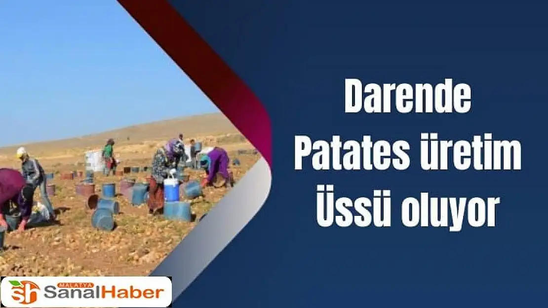 Darende, patates üretim üssü oluyor