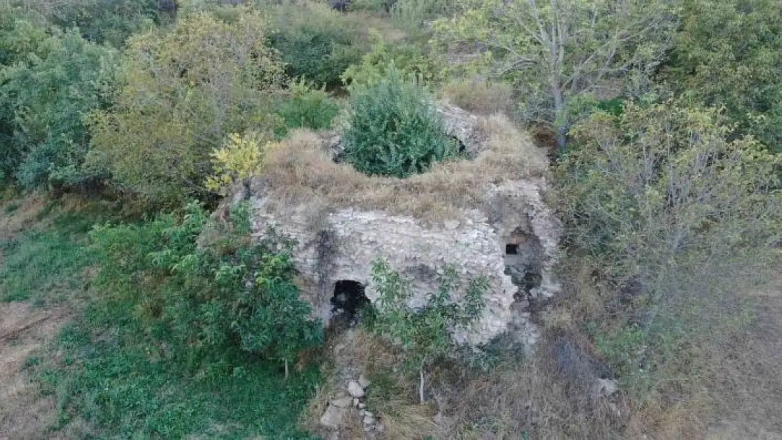 'Defineciler tarafından talan edildi, içerisinde büyüyen ağaç ise şaşırttı'