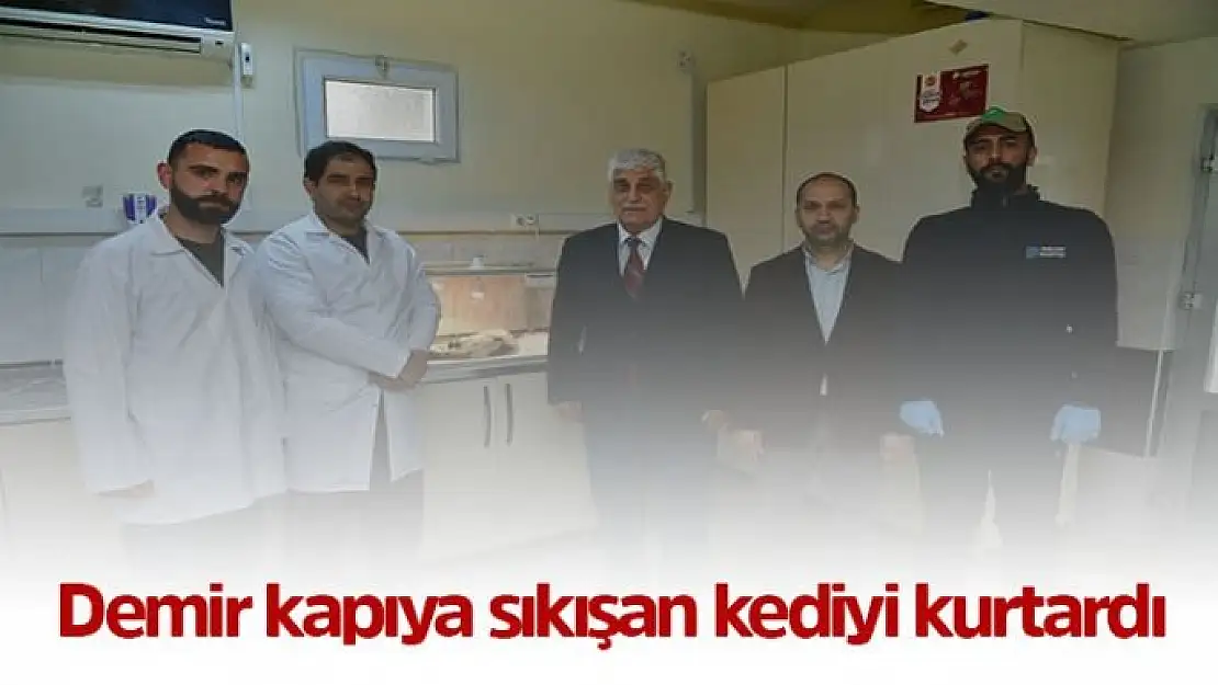 Demir kapıya sıkışan kedi kurtarıldı