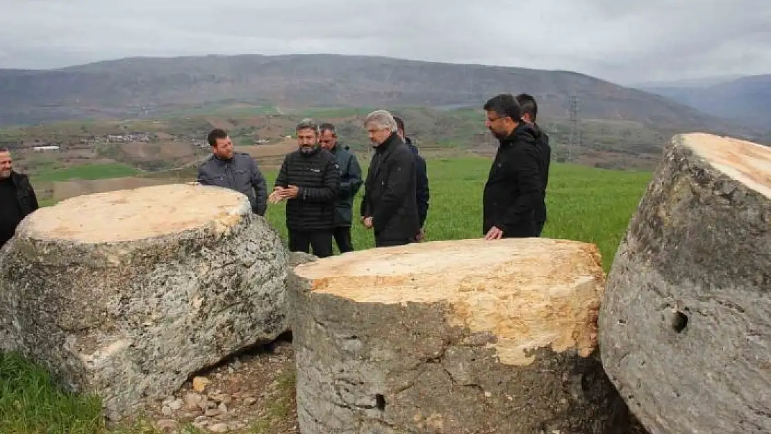 'Depremde devrilen 2 bin 43 yıllık sütun Nisan ayında yeniden ayağa kalkacak'