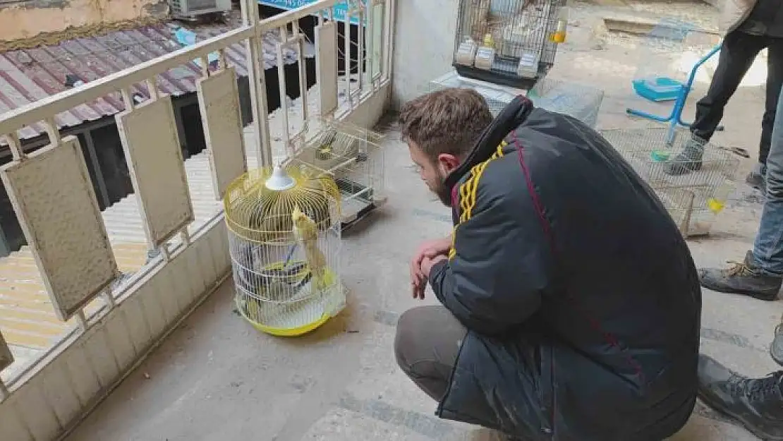 'Depremde petshopta mahsur kalan kuşlar kurtarıldı'