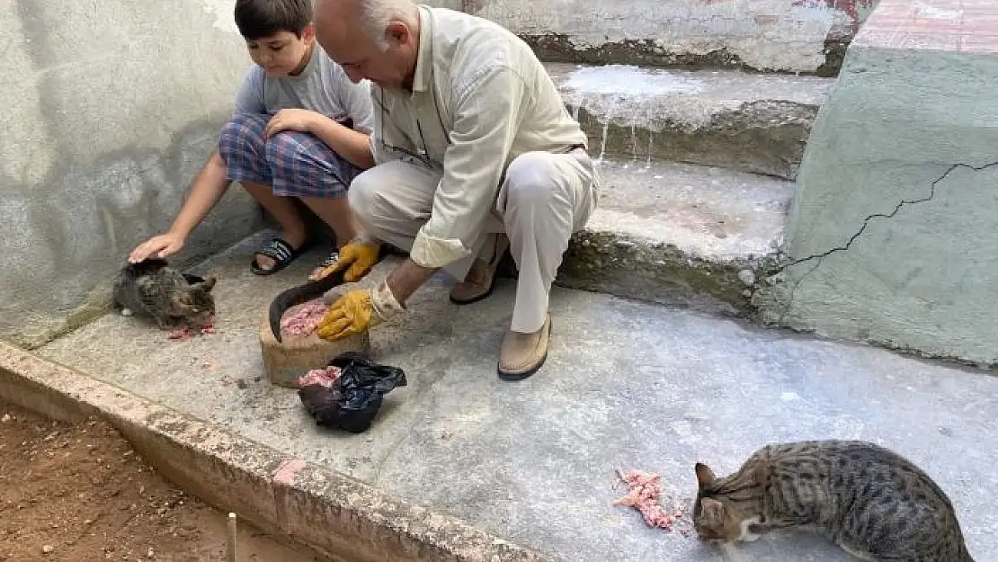 'Depremde tedavi edip iyileştirdiler, şimdi ailenin parçası oldu'