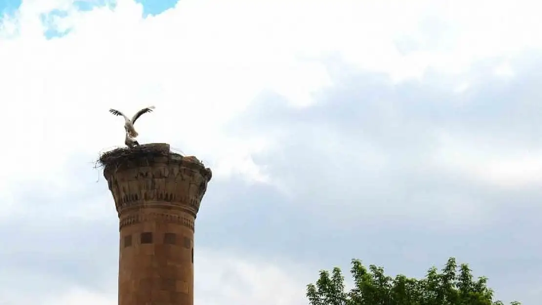 'Depremde yarısı yıkılan minareye  leylek yuva yaptı'