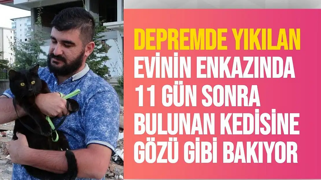 Depremde yıkılan evinin enkazında 11 gün sonra bulunan kedisine gözü gibi bakıyor