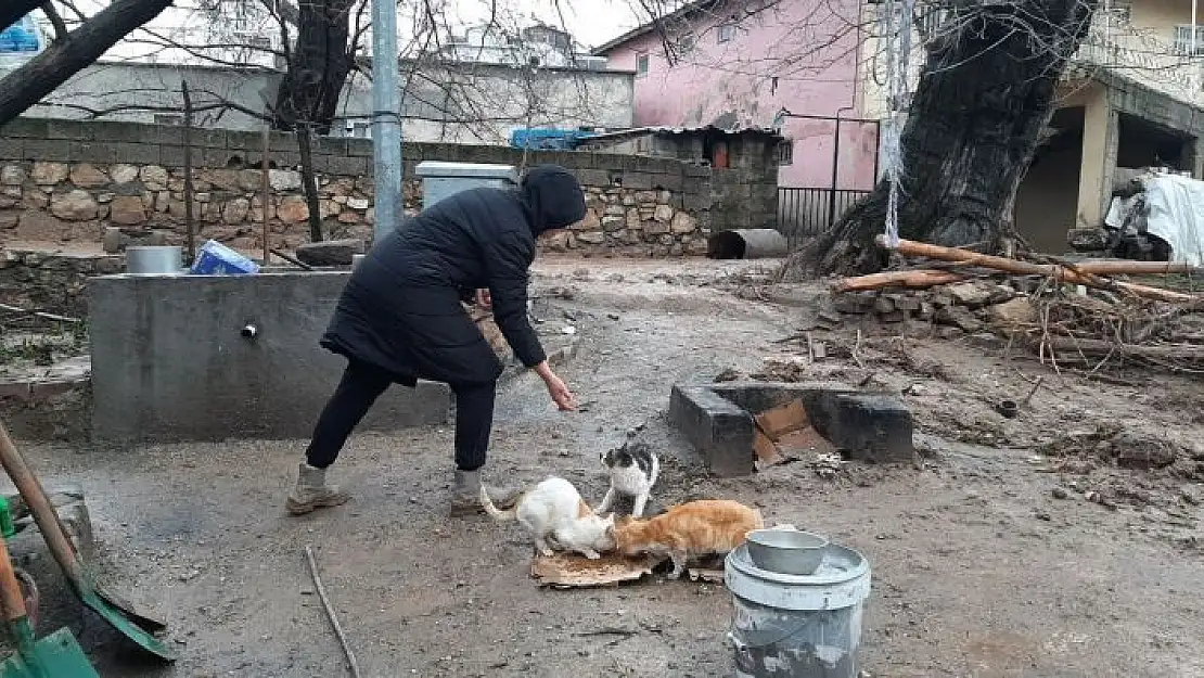 'Depremden sonra sel vurdu ama o sokak kedilerini ihmal etmedi'