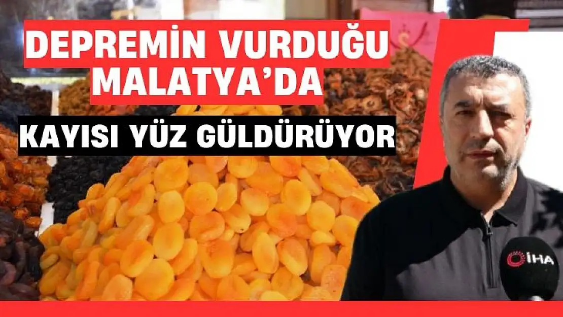 Depremin vurduğu Malatya´da kayısı yüz güldürüyor