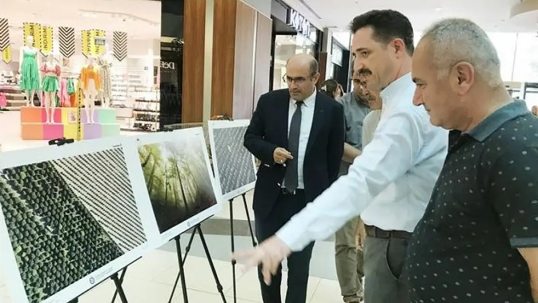 'Dereceye giren fotoğraflar görücüye çıktı'