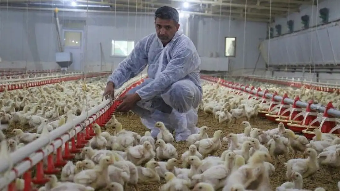 'Devlet desteği ile çiftlik kurdu, yılda 300 bin TL kazanmaya başladı'