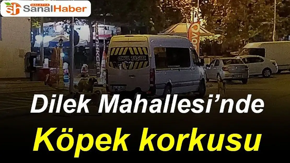 Dilek Mahallesi´nde Köpek korkusu