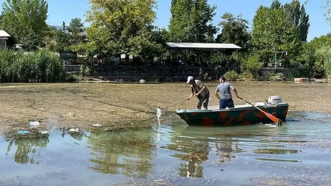 'Doğa koruma ekipleri çöpleri temizliyor'