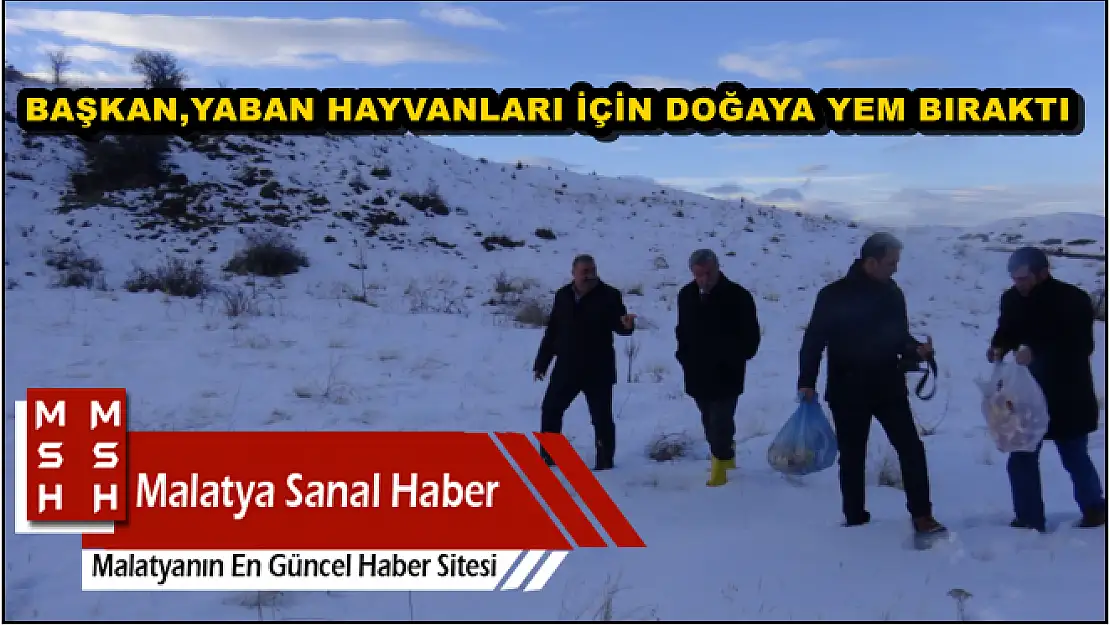BAŞKAN, YABAN HAYVANLARI İÇİN DOĞAYA YEM BIRAKTI