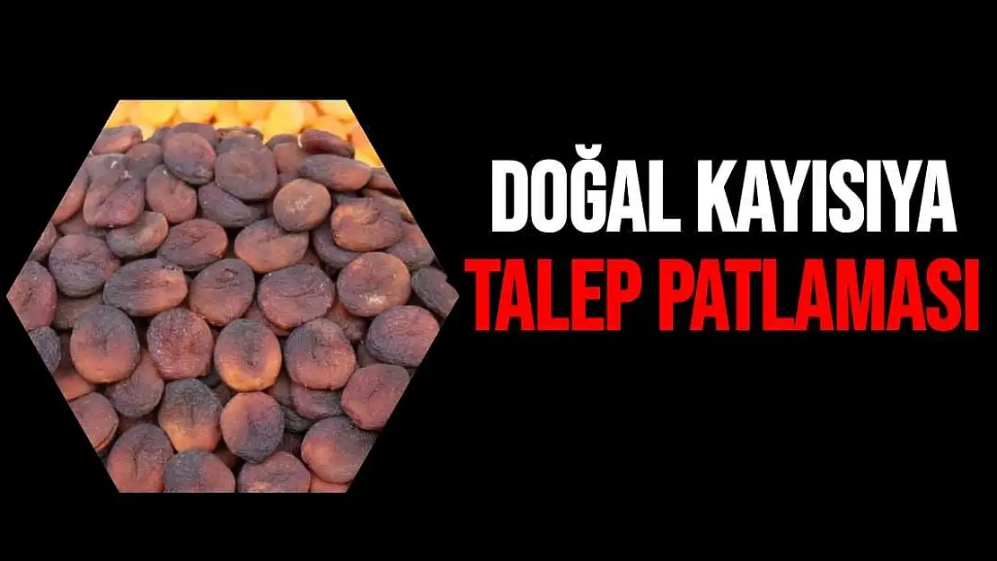 Doğal kayısıya talep patlaması