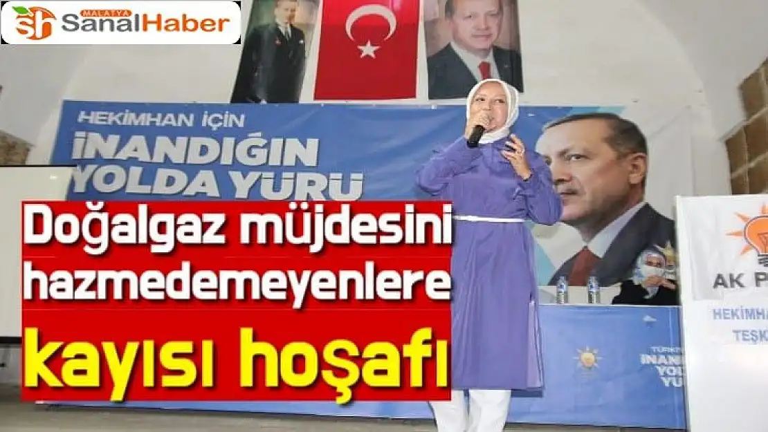 Doğalgaz müjdesini hazmedemeyenlere kayısı hoşafı