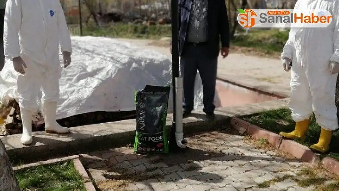Doğanşehir'de  sokak hayvanları unutulmadı