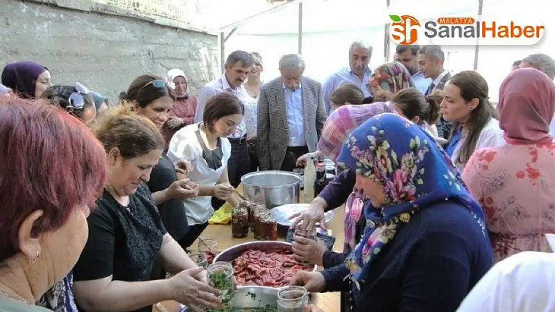 Doğanşehir'de kapya biber hasadı başladı