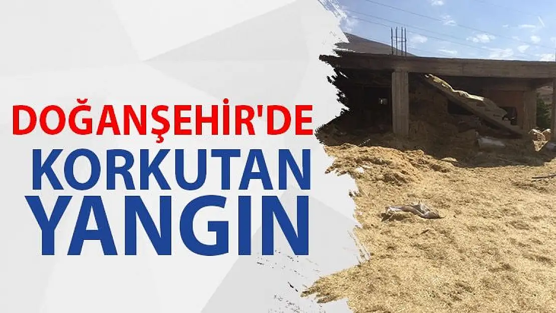 Doğanşehir'de korkutan yangın