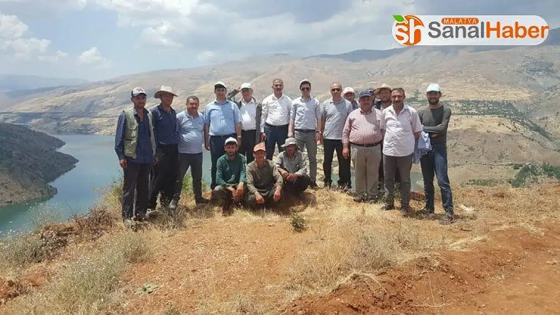 Doğanyol'da Antep Fıstığı üretilecek