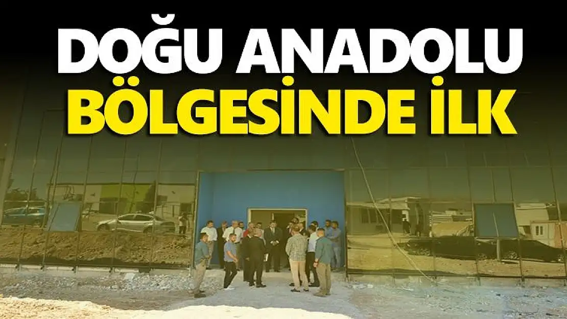 Doğu Anadolu Bölgesinde ilk