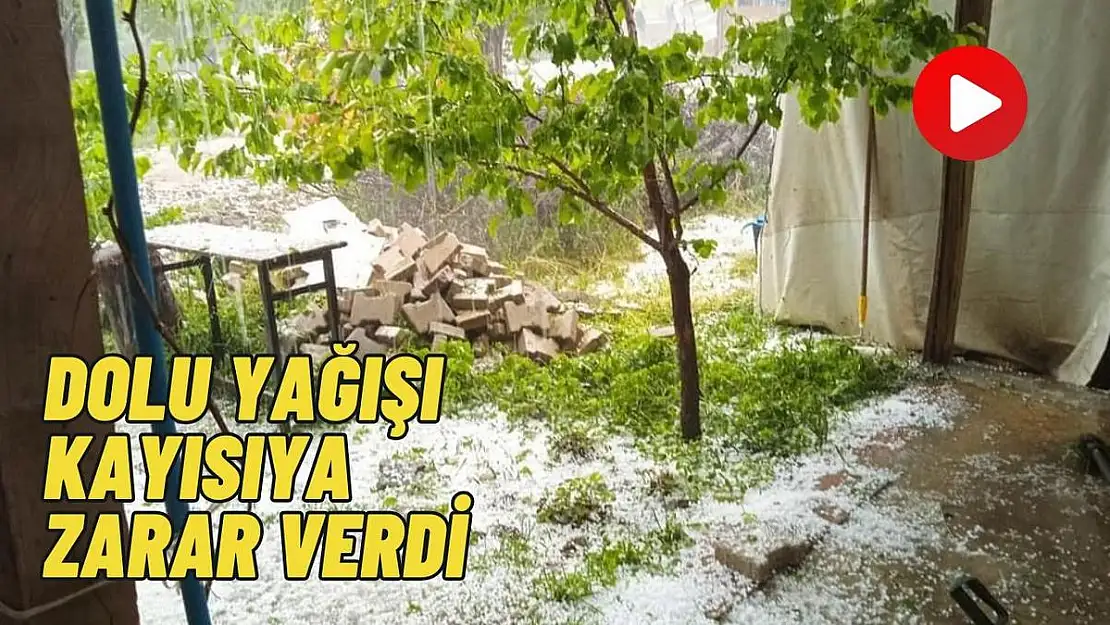 Dolu yağışı kayısıya zarar verdi