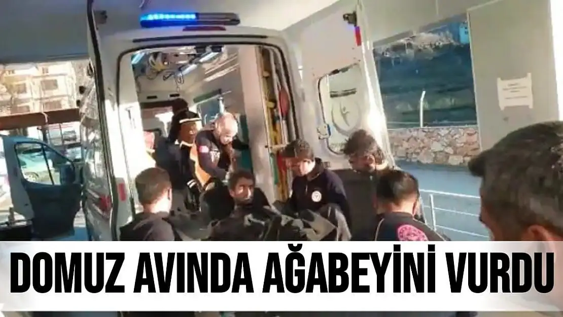 Domuz avında ağabeyini vurdu