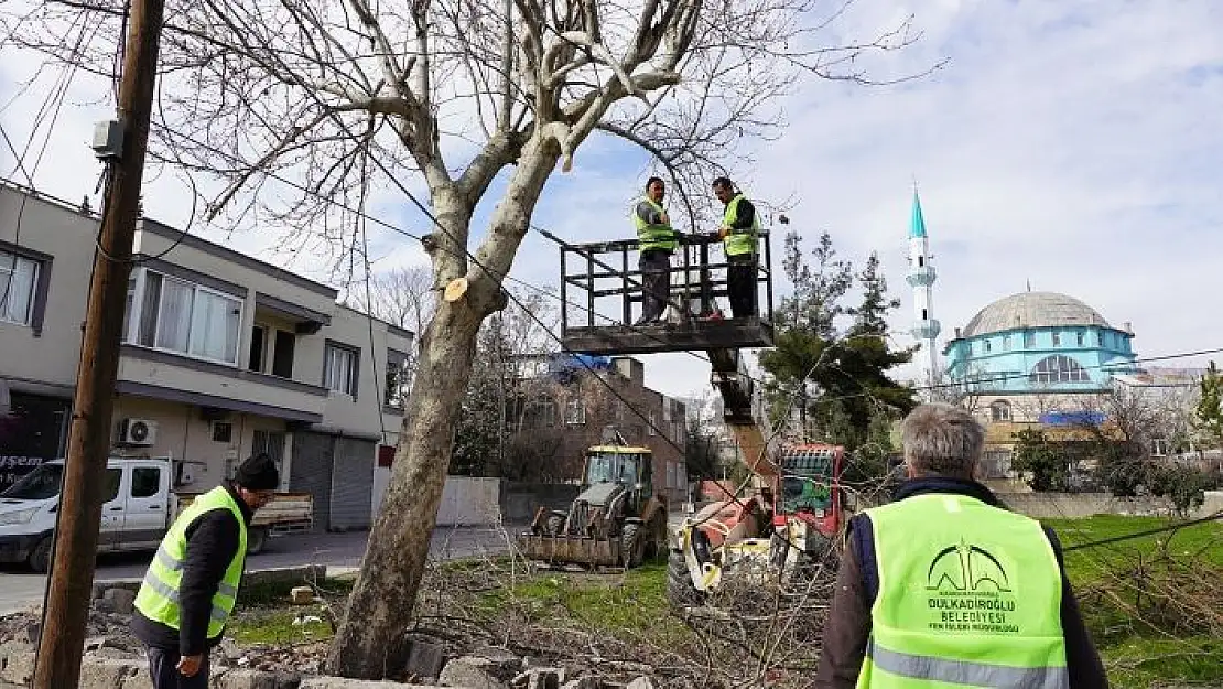 'Dulkadiroğlunda budanan ağaçlar sosyal yardıma dönüşüyor'