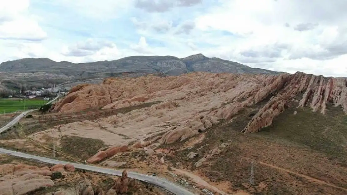 'Dünyadaki Mars, dikilen ağaçlarla yeşerecek'