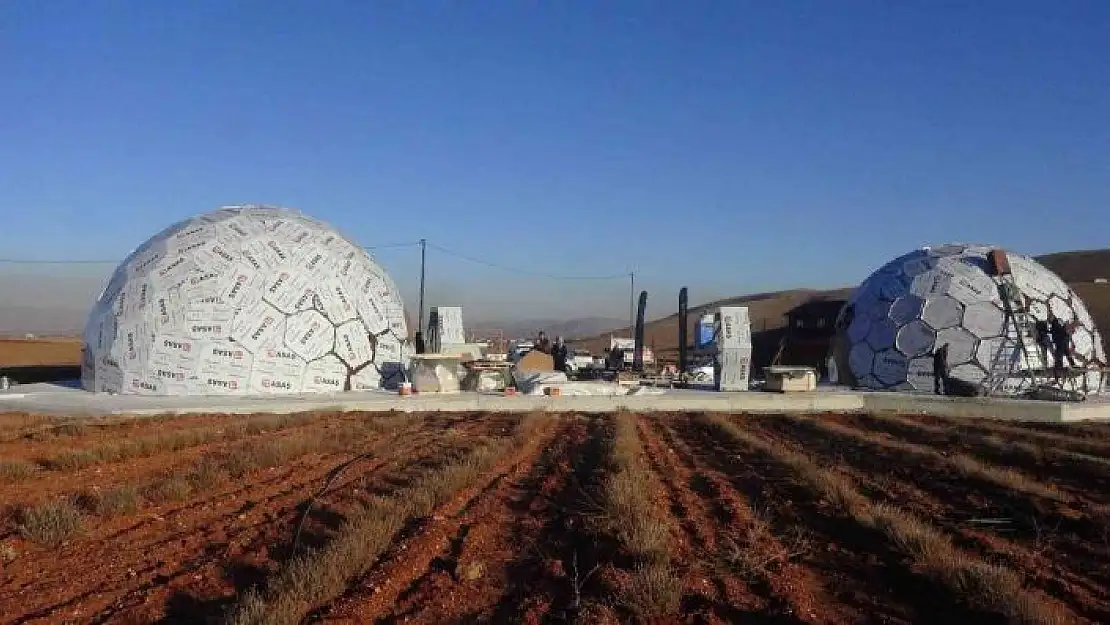 'Dünyanın en büyük tek parça halindeki lavanta tarlasına Arı Müzesi kuruluyor'