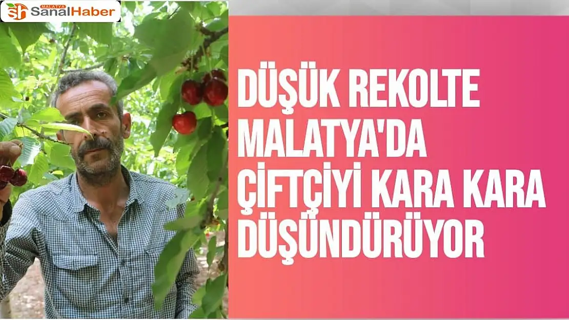 Düşük rekolte Malatya'da çiftçiyi kara kara düşündürüyor