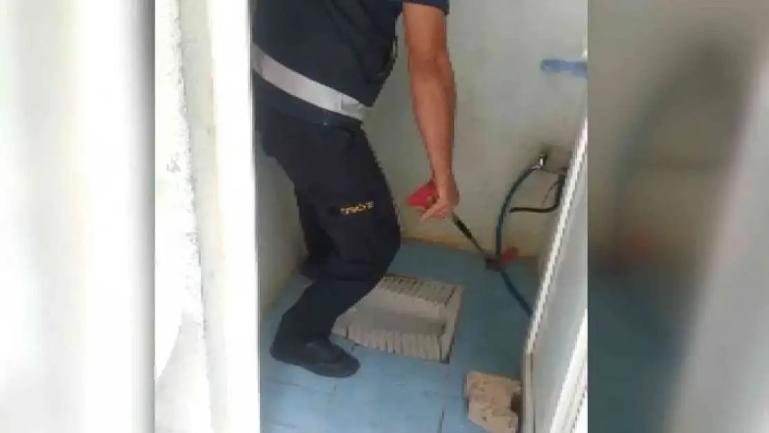 'Duvardaki su borusu deliğinde yılan yakalandı'