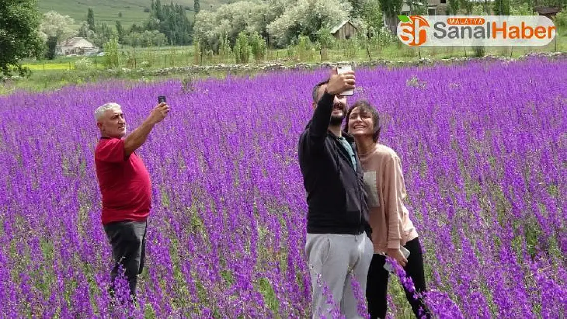 Duyan fotoğraf çektirmek için akın etti