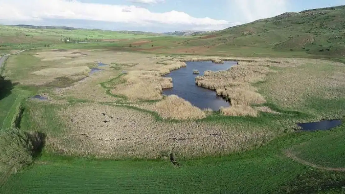 '(Düzeltme) Habitat harikası göl, maden ocağı tehdidi altında'