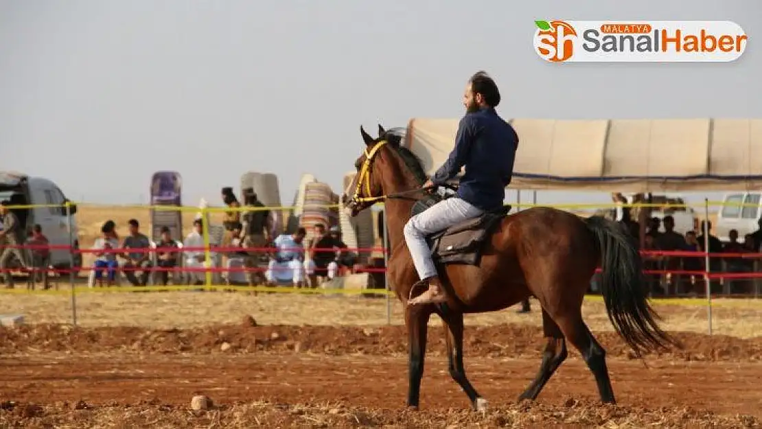 El Bab'da at yarışı coşkuyla izlendi