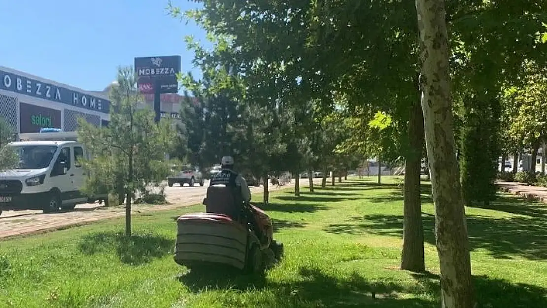 'Elazığ Belediyesi çim biçme çalışmalarını aralıksız sürdürüyor'