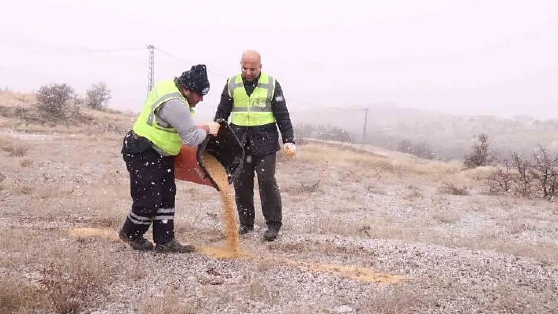 'Elazığ Belediyesi yaban ve sokak hayvanları için çalışma başlattı'