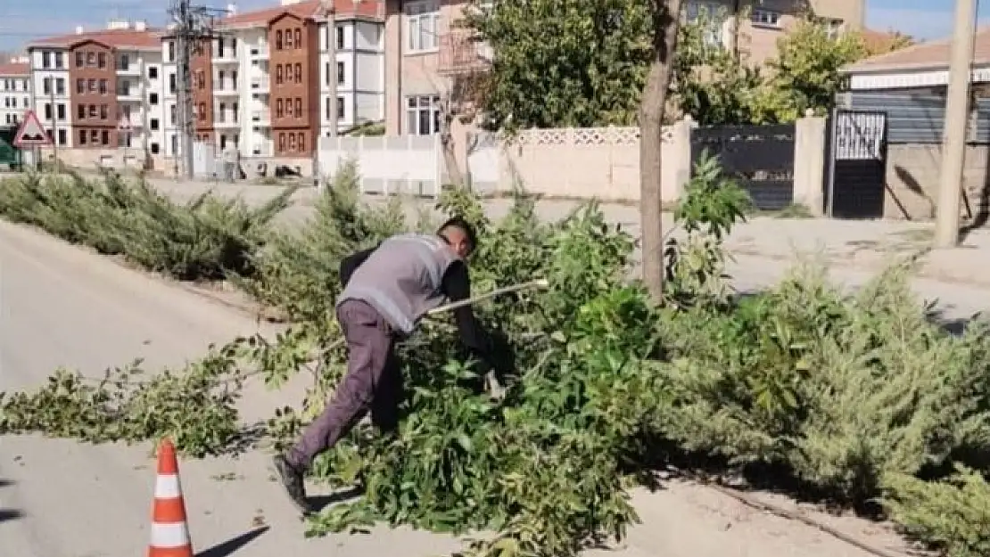 'Elazığ Belediyesinden ağaç budama çalışması'