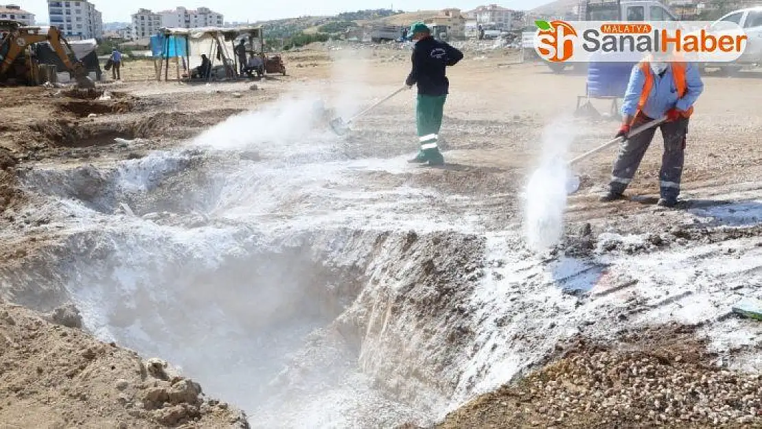 Elazığ'da  hayvan satış ve kesim yerleri temizlendi