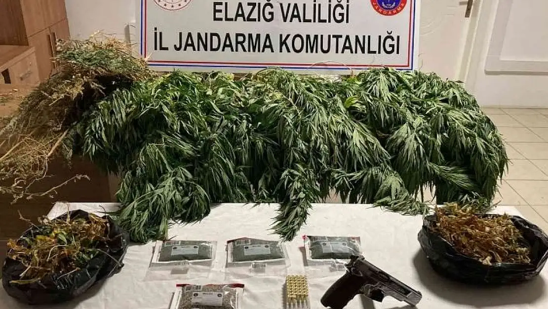 'Elazığ´da 1 kilo esrar ve 17 kök kenevir ele geçirildi'