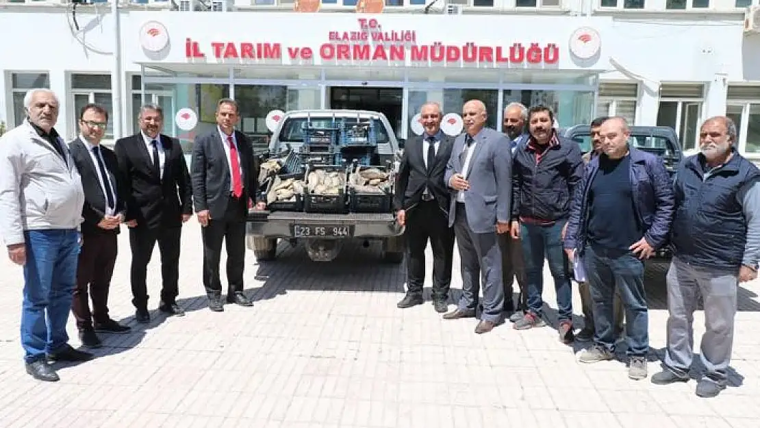 'Elazığ´da 1 ton 150 kilogram kaçak avlanan balık yakalandı'