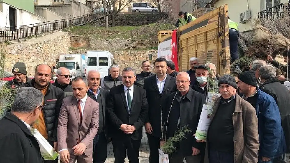 'Elazığ´da 10 bin fidan dağıtıldı'