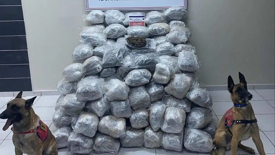 Elazığ´da 138 kilo skunk ele geçirildi