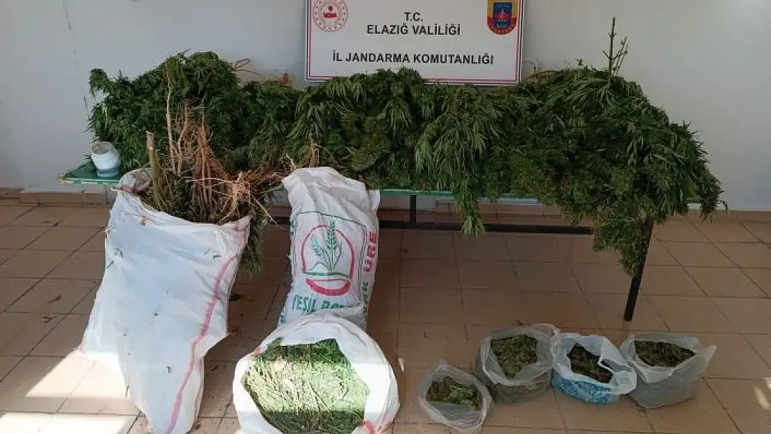 'Elazığ´da 20 kilo esrar ele geçirildi: 1 gözaltı'