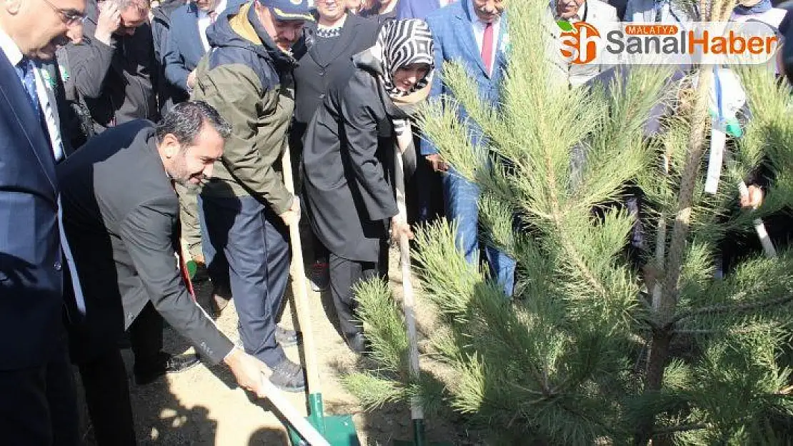 Elazığ'da 250 bin fidan toprakla buluştu